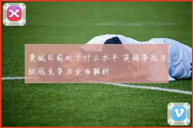 曼城目前处于什么水平 英超争冠与欧冠竞争力全面解析