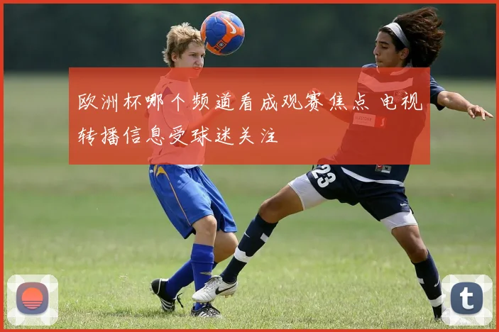 欧洲杯哪个频道看成观赛焦点 电视转播信息受球迷关注