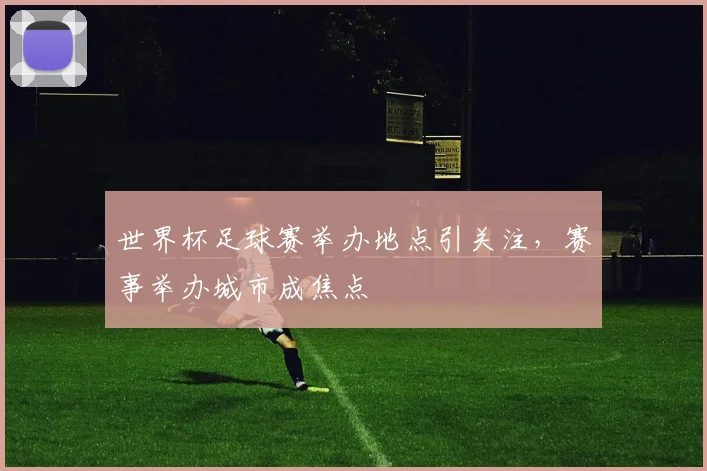 世界杯足球赛举办地点引关注，赛事举办城市成焦点