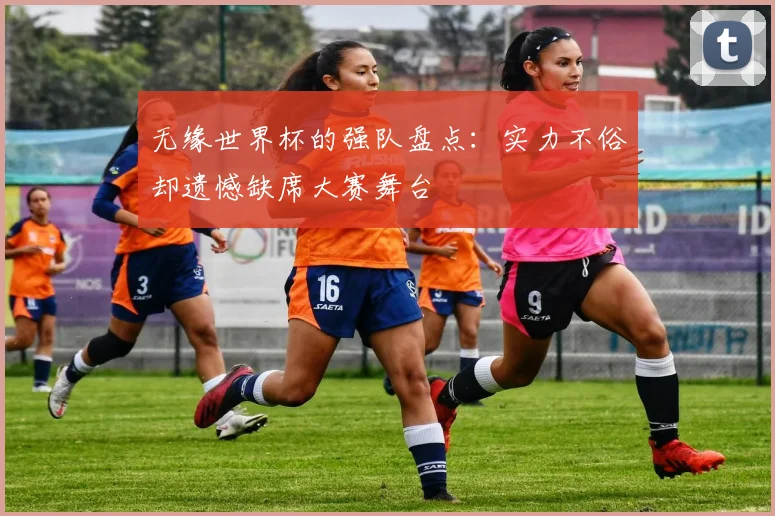 无缘世界杯的强队盘点：实力不俗却遗憾缺席大赛舞台