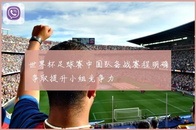 世界杯足球赛中国队备战赛程明确 争取提升小组竞争力