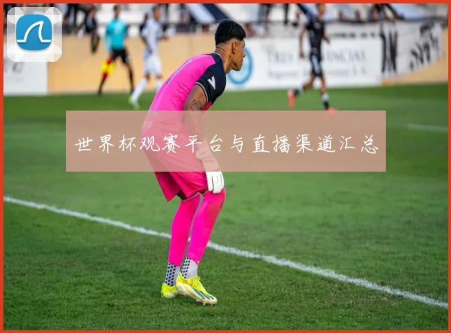 世界杯观赛平台与直播渠道汇总
